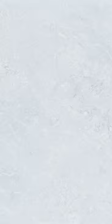 Керамогранит Primavera СП205 Босави Белый Силк Про 60x120
