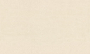 Обои EuroDecor Florance винил на флизелине 1,06х10,0м 8091-02