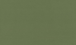 Обои EuroDecor Base винил горячего тиснения 1,06х10,0м 7302-04