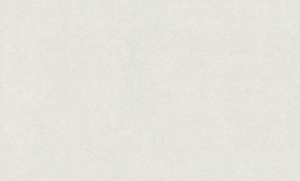 Обои EuroDecor Era2 винил горячего тиснения 1,06х10,0м 7309-21