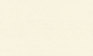 Обои EuroDecor Florance винил на флизелине 1,06х10,0м 8091-00