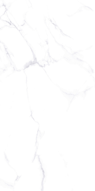 Керамогранит Vizavi Lande ZA-L12605 полированный 60*120