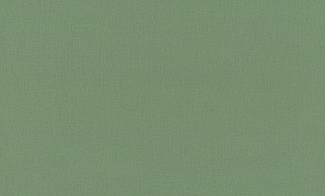 Обои EuroDecor Base винил горячего тиснения 1,06х10,0м 7302-15
