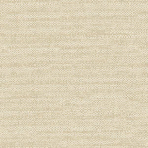 Обои Alessandro Allori Bruni винил на флизелине 1,06х10,0м RBN1003-4