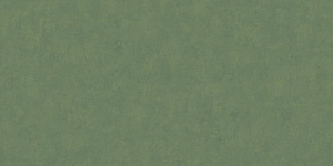 Обои Bernardo Bartalucci Cesara 1,06х10,0м 5012-8