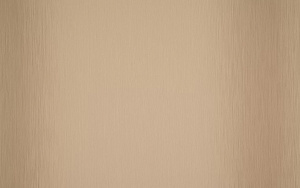 Обои Сом Линас винил на флизелине 1,06х10,0м 44671-1