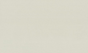 Обои EuroDecor Base винил горячего тиснения 1,06х10,0м 7302-01