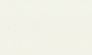 Обои EuroDecor Solum винил горячего тиснения 1,06х10,0м 7317-01