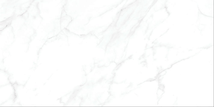 KTL051D Плитка облицовочная Calacatta белый 
