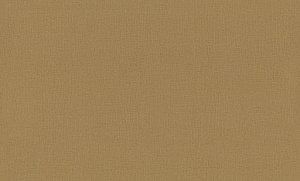 Обои EuroDecor Base винил горячего тиснения 1,06х10,0м 7302-12