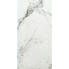 Керамогранит Arcadia Ceramica Room Silver FP9016-CF 60x120