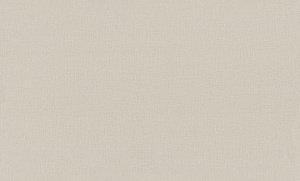 Обои EuroDecor Base винил горячего тиснения 1,06х10,0м 7302-06