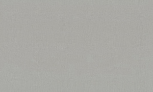 Обои EuroDecor Base винил горячего тиснения 1,06х10,0м 7302-11