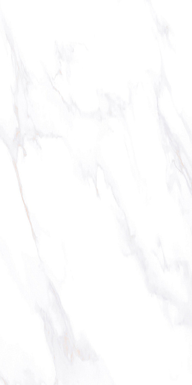 Керамогранит Vizavi Lande ZA-L12604 полированный 60*120