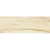 Плитка настенная Sanders Maple WT11SND08