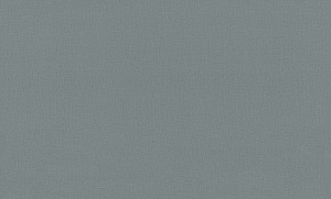 Обои EuroDecor Base винил горячего тиснения 1,06х10,0м 7302-23