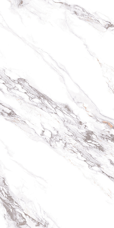 Керамогранит Vizavi Butterfly ZA-B12606 полированный 60*120