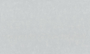 Обои EuroDecor Solum винил горячего тиснения 1,06х10,0м 7317-11