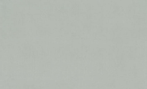 Обои EuroDecor Physalis винил горячего тиснения 1,06х10,0м 7308-11