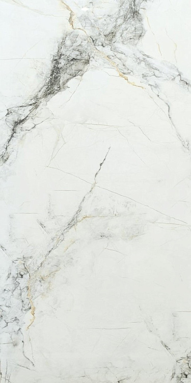 Керамогранит Arcadia Ceramica Room Silver FP9016-CF 60x120