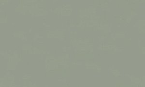 Обои EuroDecor Physalis винил горячего тиснения 1,06х10,0м 7308-12