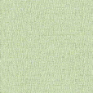 Обои Alessandro Allori Bruni винил на флизелине 1,06х10,0м RBN1002-36