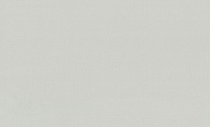 Обои EuroDecor Base винил горячего тиснения 1,06х10,0м 7302-24